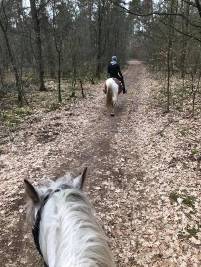 Bosritje Met Joy en Cisco